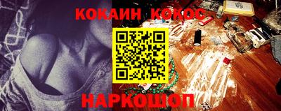 шишки Новодвинск