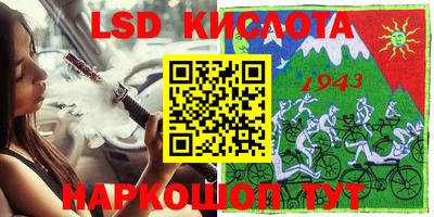 шишки Новодвинск