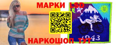 шишки Новодвинск