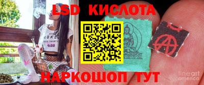 шишки Новодвинск