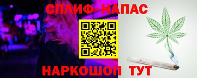 ПСИЛОЦИБИНОВЫЕ ГРИБЫ Новозыбков
