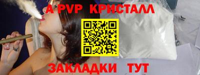 шишки Новодвинск