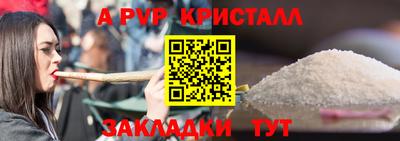 шишки Новодвинск