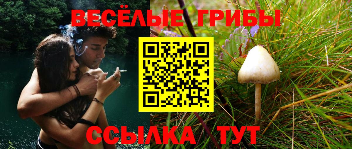 Галлюциногенные грибы Magic Shrooms  Вход с VPN  Псилоцибиновые грибы Psilocybe  Реж 